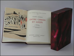 Entre Chiens et Loups